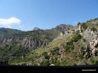 stoleone-09-08-2020 10